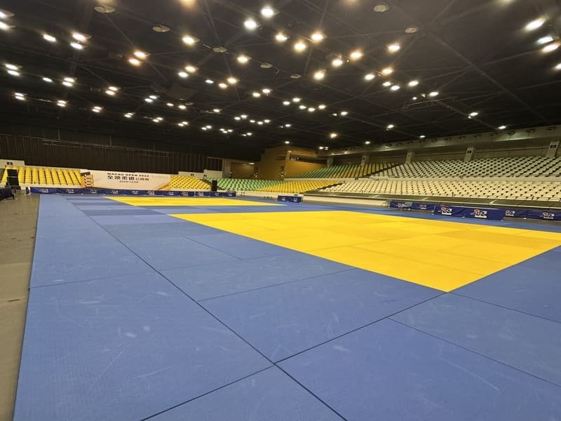 Impact Absorption Mechanics